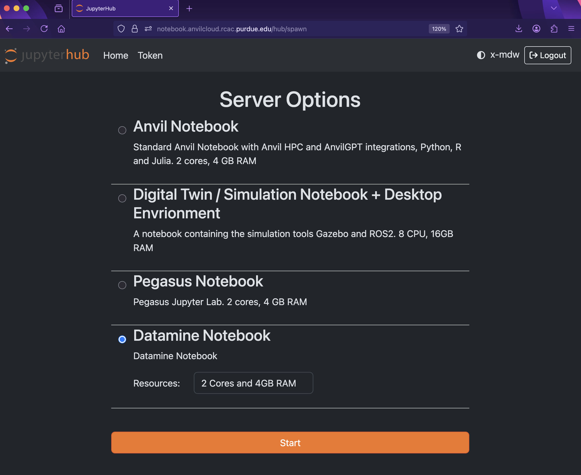 Server Options for Jupyter Lab